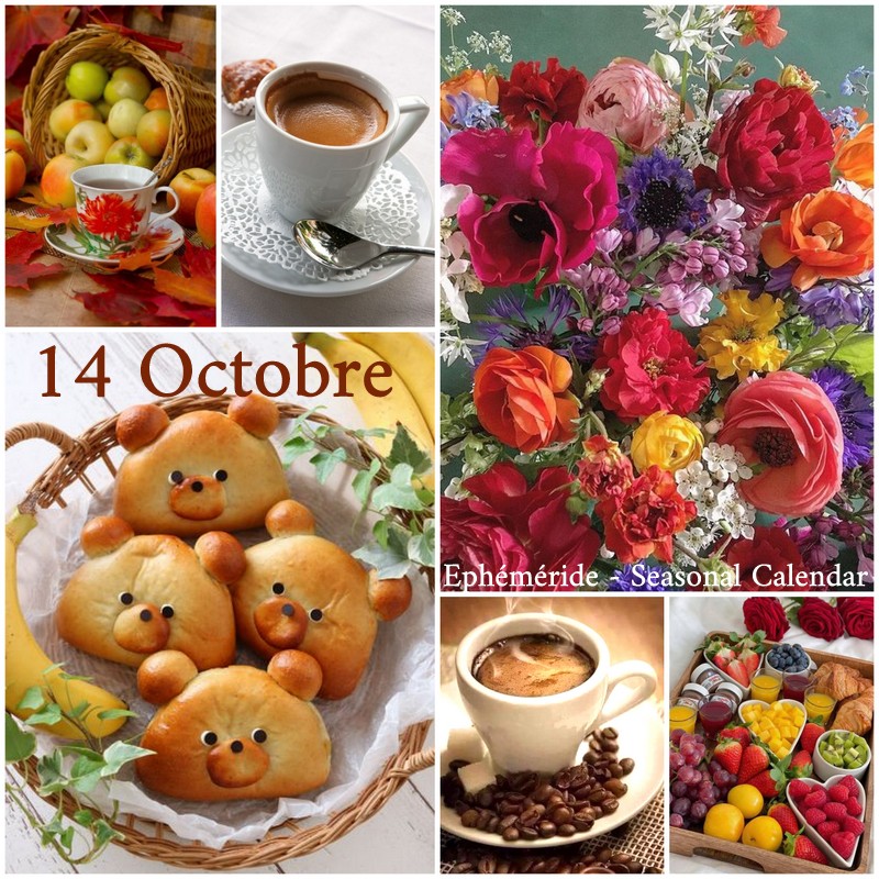 245391397_4689736311076428_531185363397499767_n