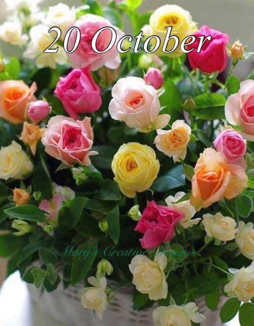 245449803_3030672600503870_3942266611926254786_n (1)