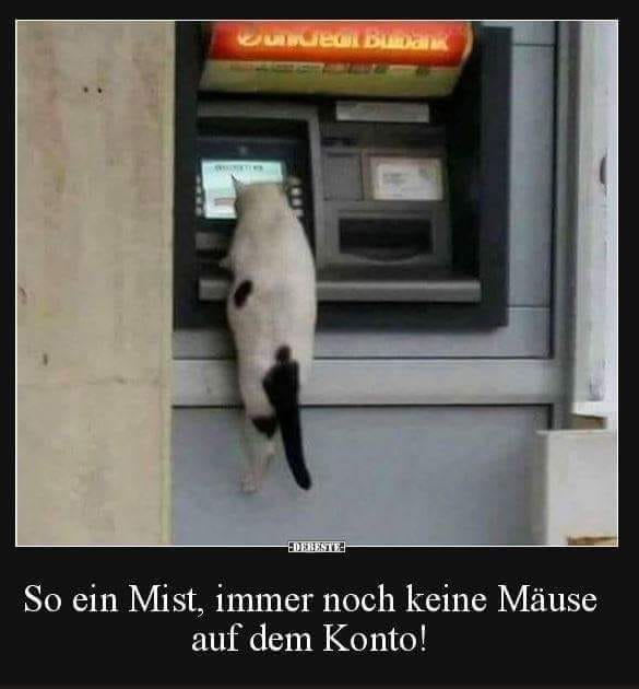 245463883_1326269134494056_8659296406603973187_n