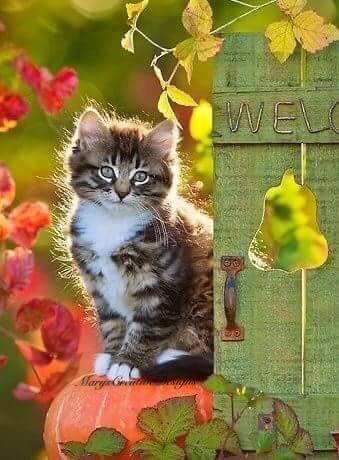 245508270_3027951124109351_6710496388003478018_n