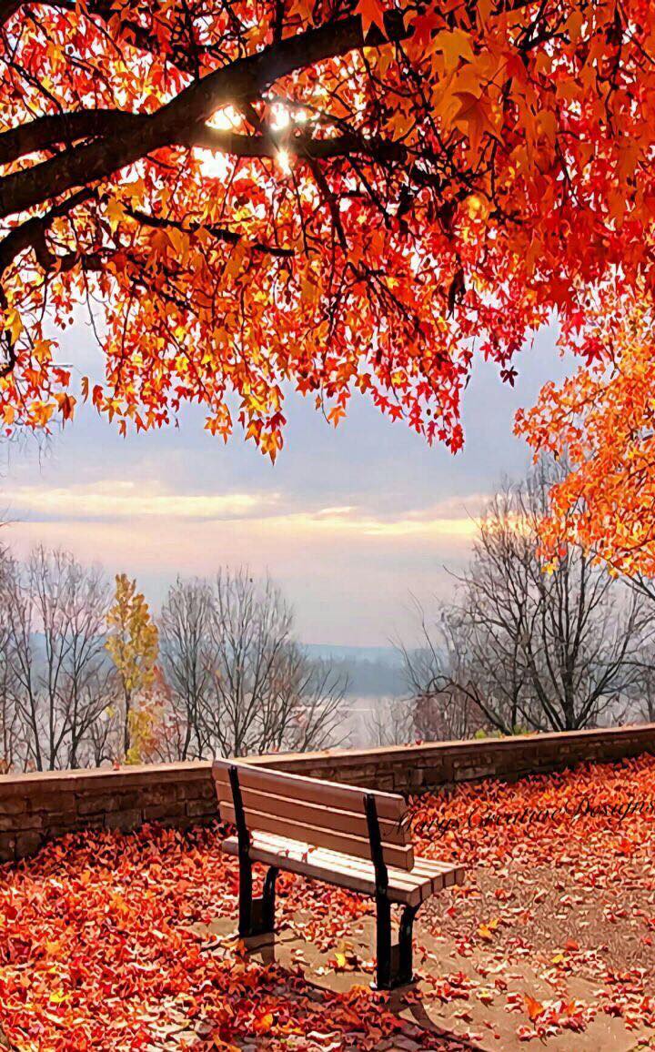 245614840_3031748333729630_6829400678547484467_n