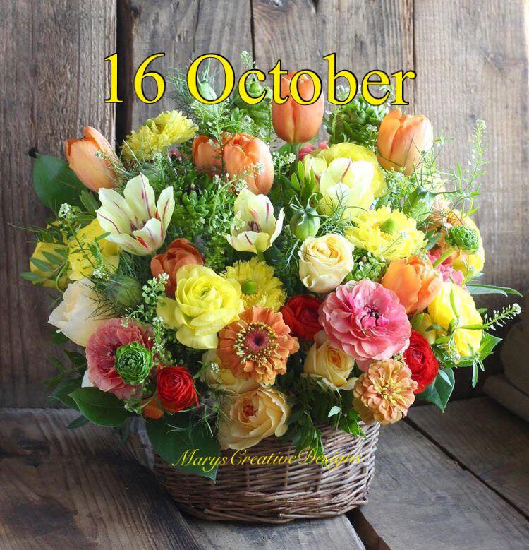 245624629_3027579420813188_8348420509691926015_n (1)