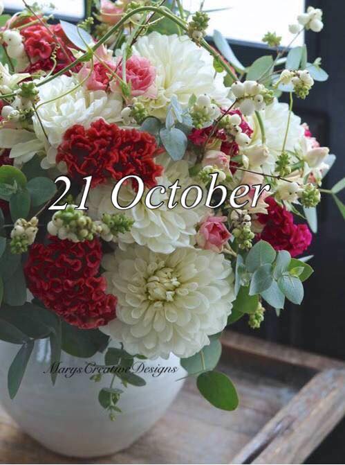 246143517_3031461717091625_7711424105314155835_n (2)