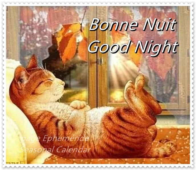 246230457_4699413966775329_8985063286257114515_n