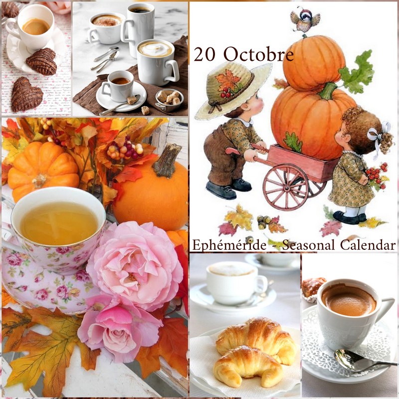 246286630_4708826012500791_6926229196494829573_n