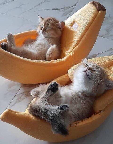 246286796_3028841247353672_202323503967745036_n