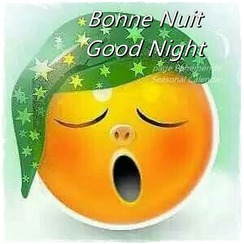 246597792_4711352632248129_8019322937260071651_n