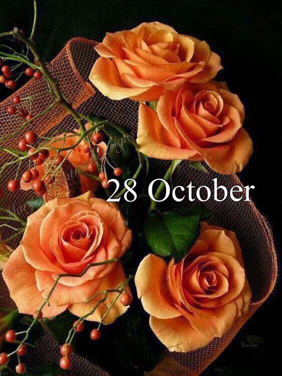 246620137_3037330529838077_2273569412292265804_n (1)