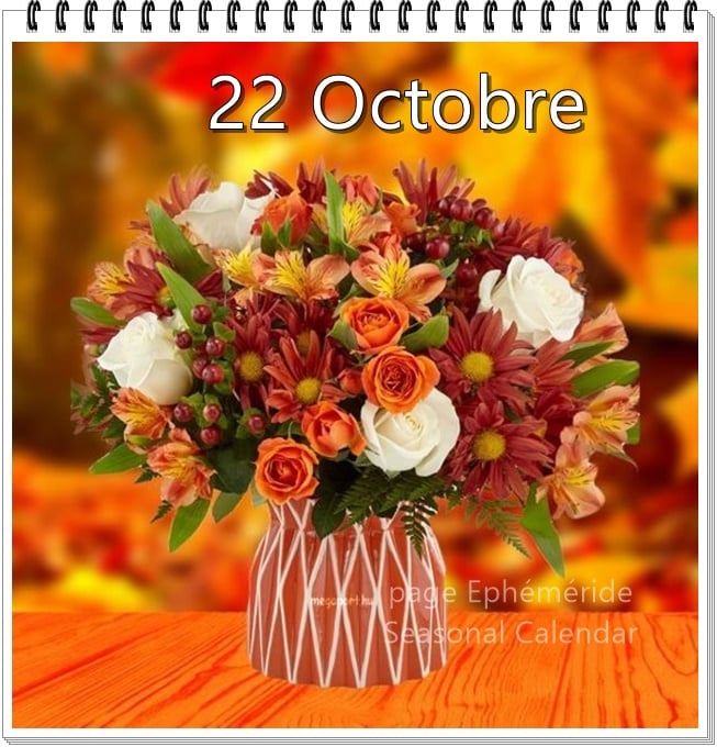 246982931_4715156125201113_3779308753010606389_n