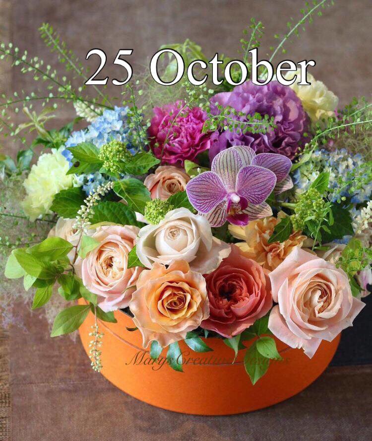 247115160_3034645590106571_8527132450307832327_n (1)