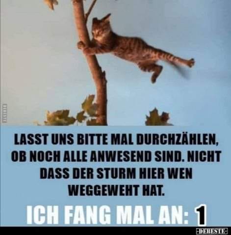 247469177_998866030674735_7502882353318735859_n