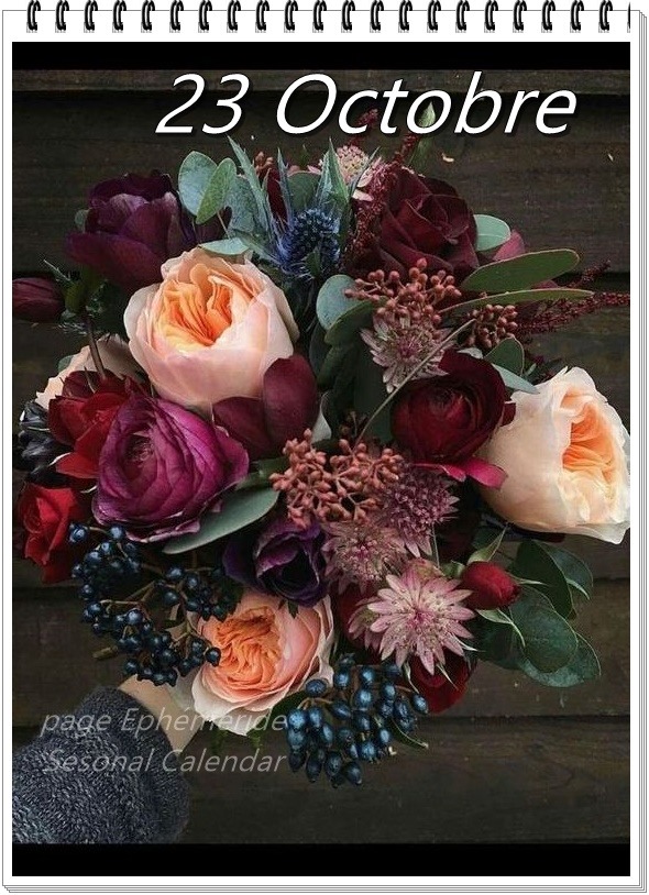 247960177_4718151051568287_3949744335830828405_n