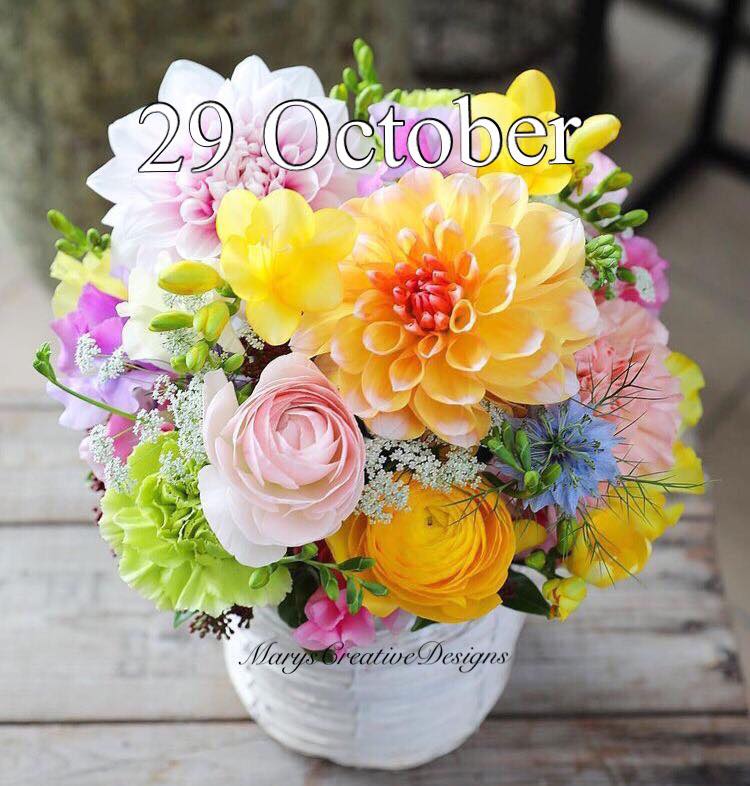 248054491_3038121556425641_7090640083259437099_n