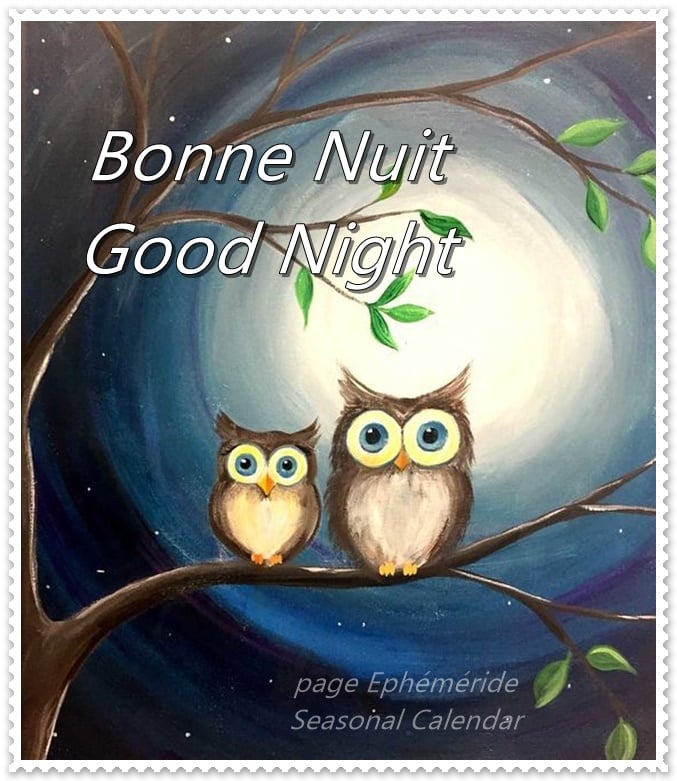 248346401_4720747924641933_515060411187858496_n