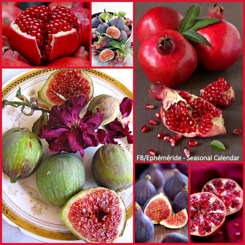 248354669_4728918000491592_6922848102352235418_n