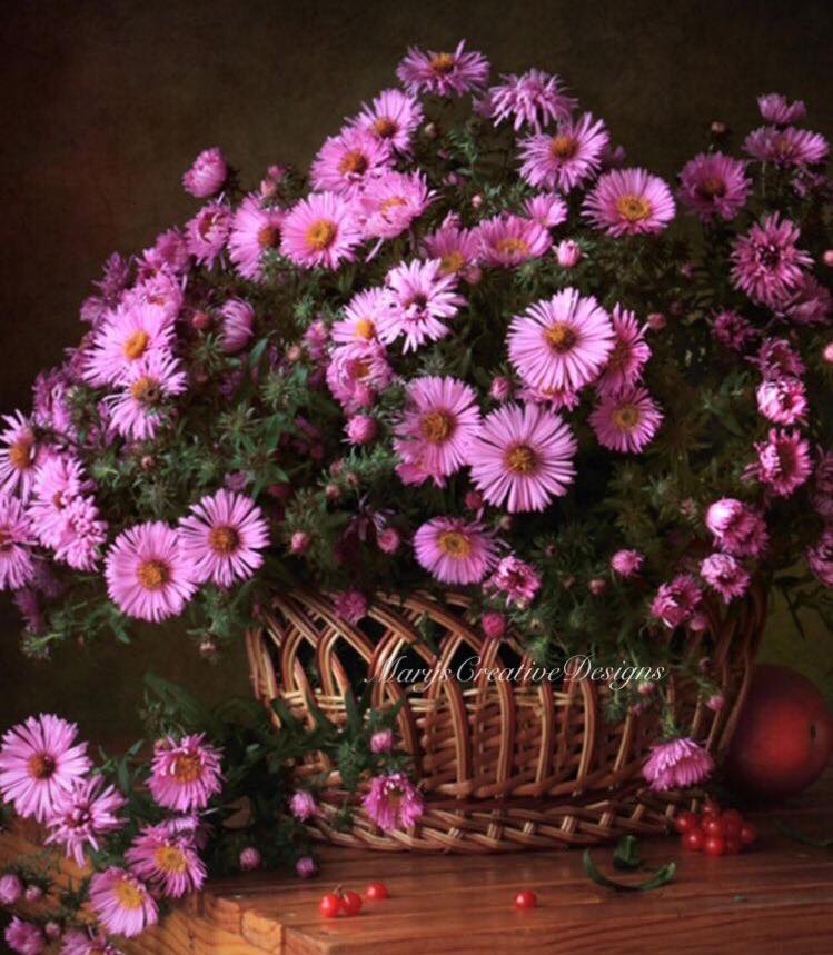 248419226_3033436000227530_2413393464751534531_n (1)