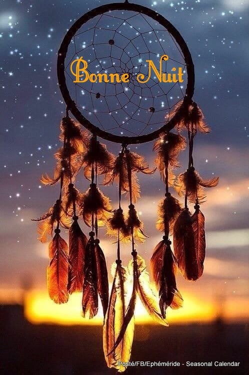 248626472_4724137617636297_4992769121542734459_n