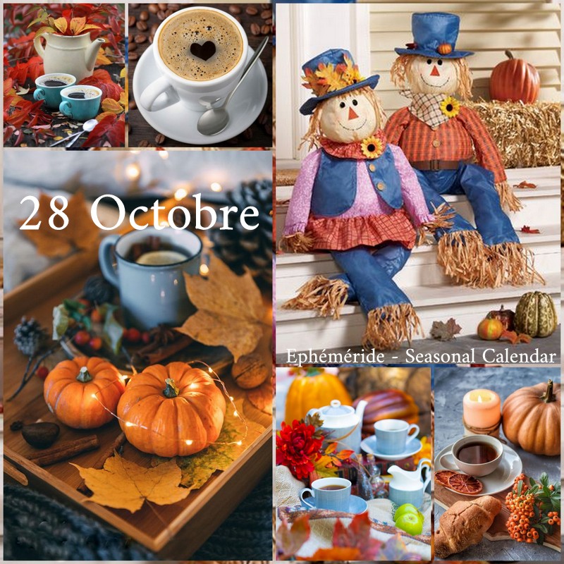 249222618_4734150696634989_3875437189450581083_n