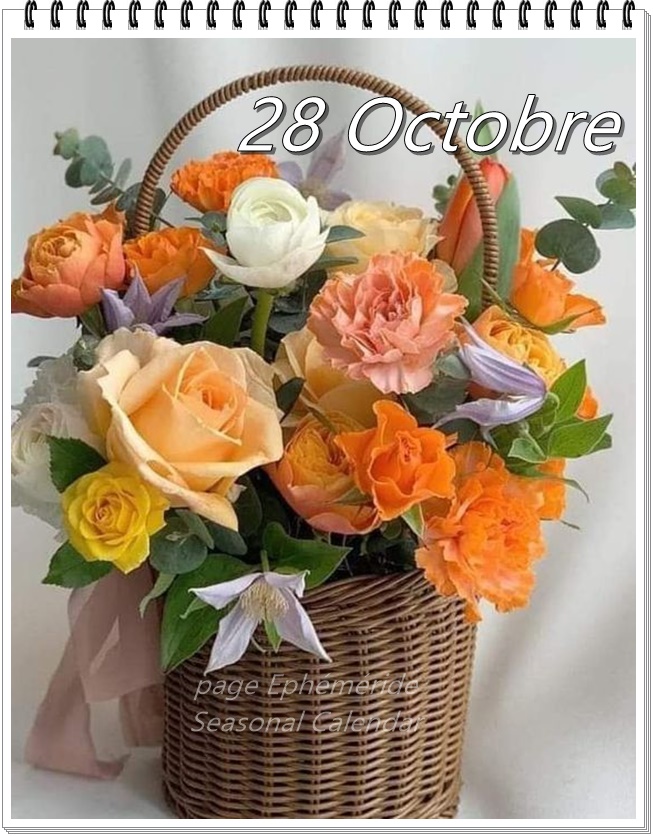 249298148_4734036566646402_7125913101895261004_n