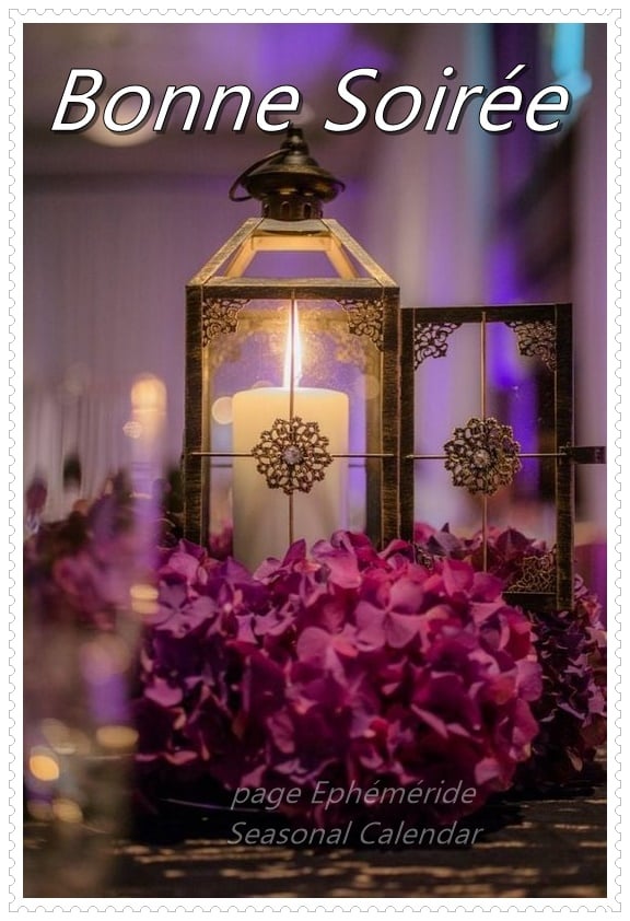 249568066_4736820046368054_6851371569463634260_n