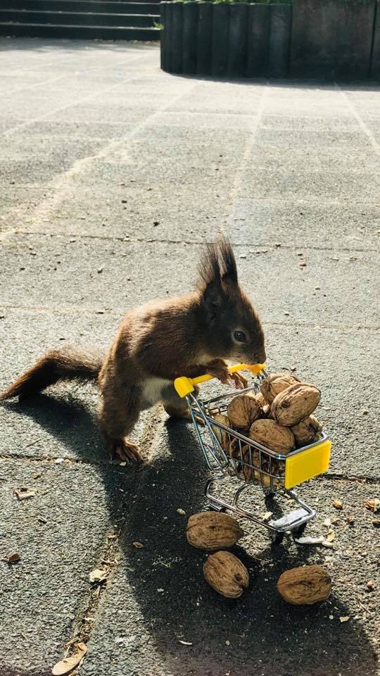 249766739_10219333610762723_3352909461554584586_n