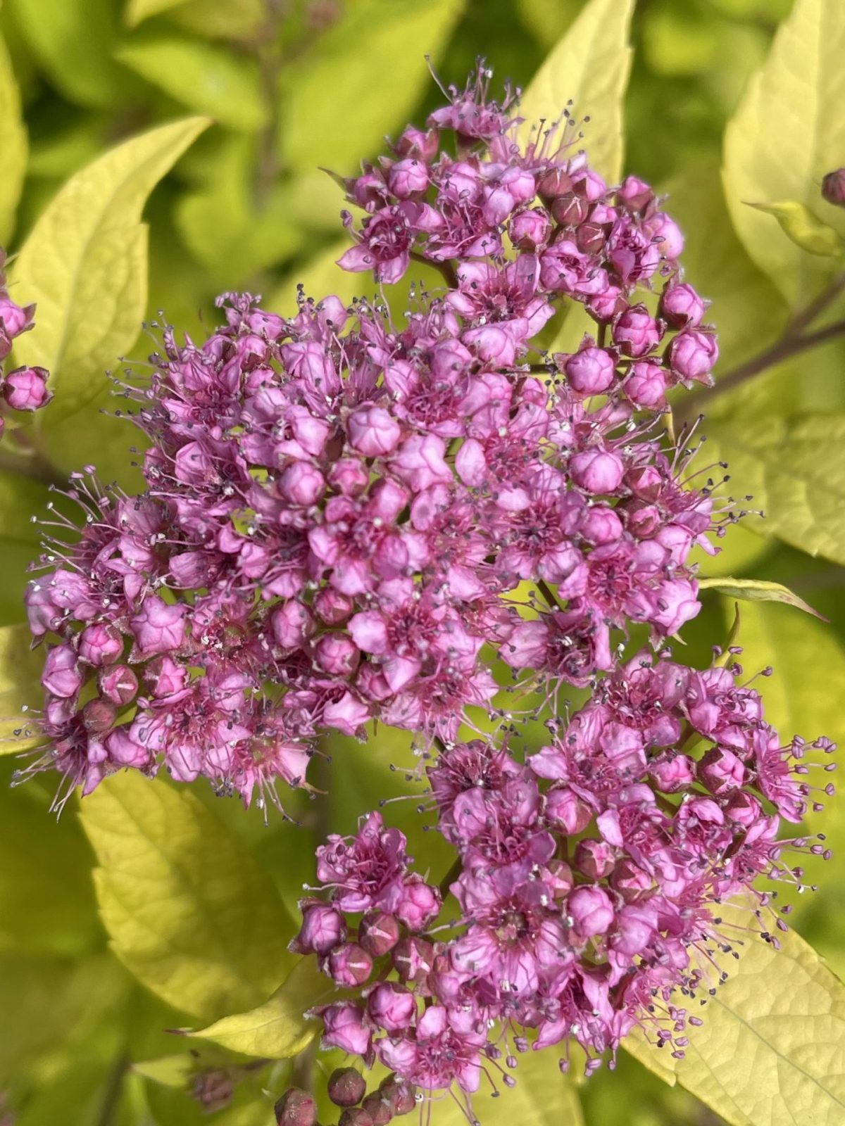 24FB2A3F-7F19-4705-BE00-396DCD3D0552