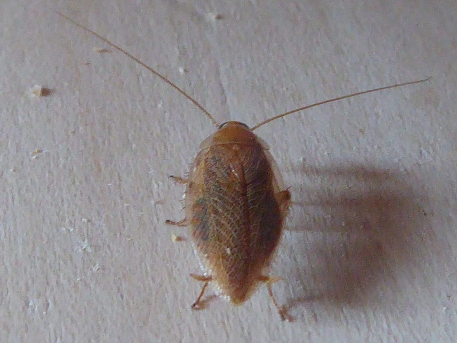 25.7.2022 Montag (1)