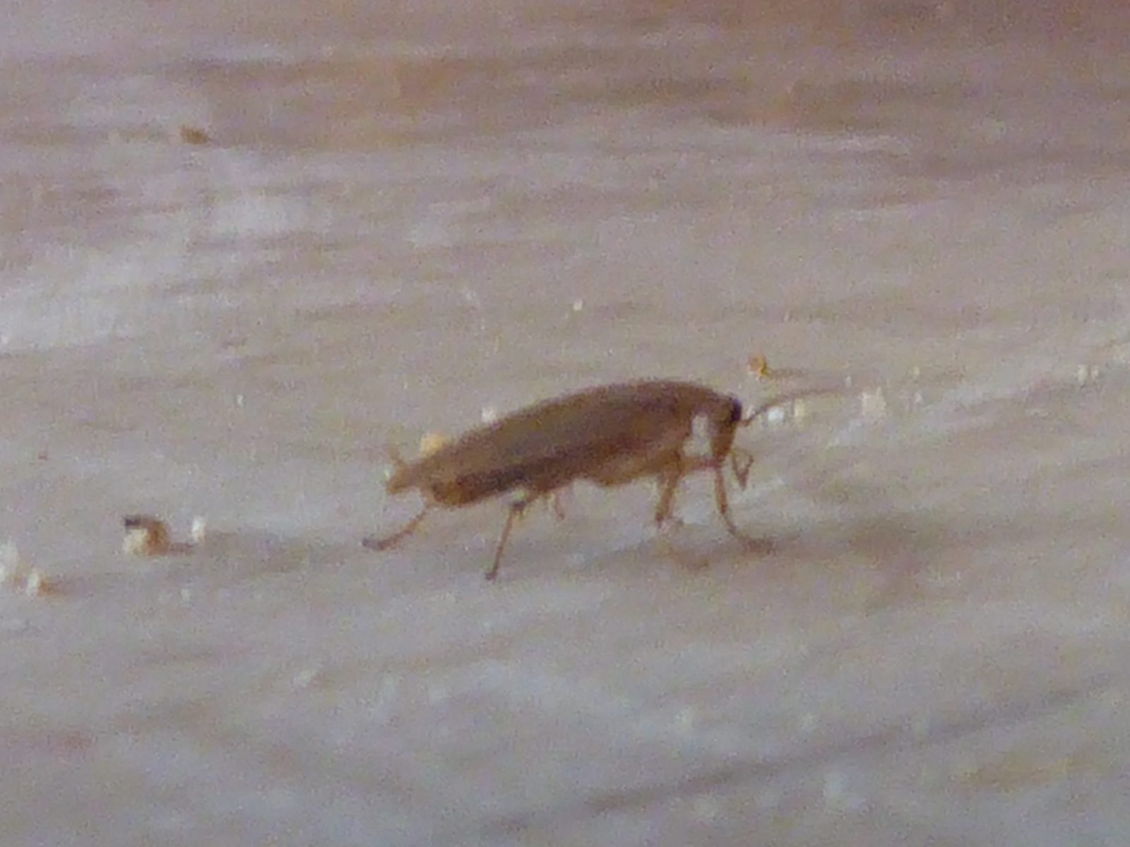 25.7.2022 Montag (4)