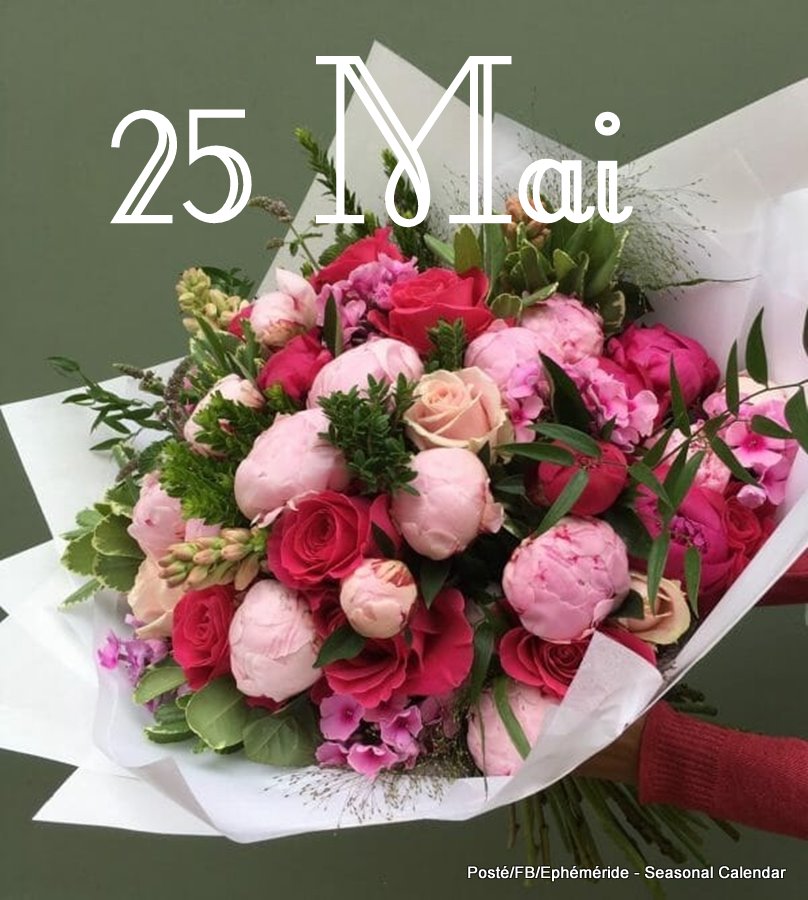 25.Mai