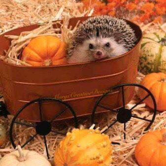 251117090_3044942429076887_4203419371899656584_n