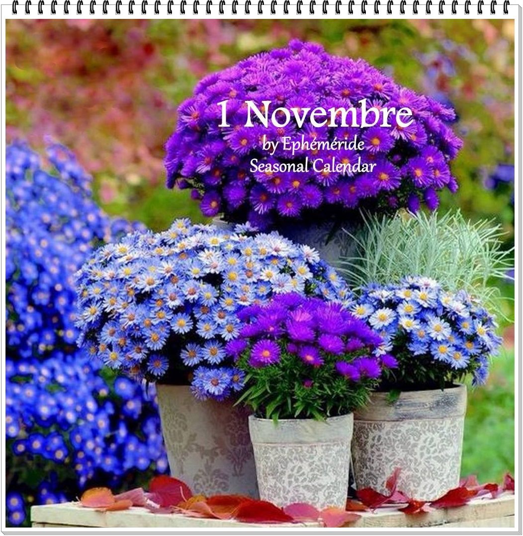 251190877_4747120418671350_6658676547062436375_n