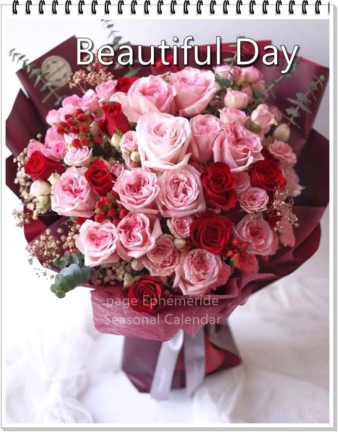 251761501_4756594751057250_2580577583391817604_n