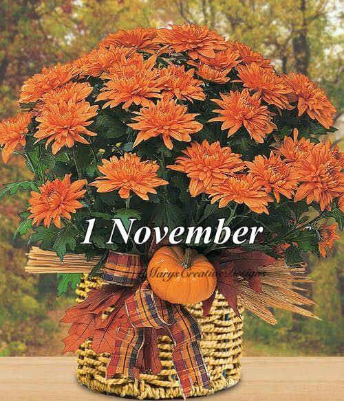 251827854_3040799479491182_504209747577520503_n (2)