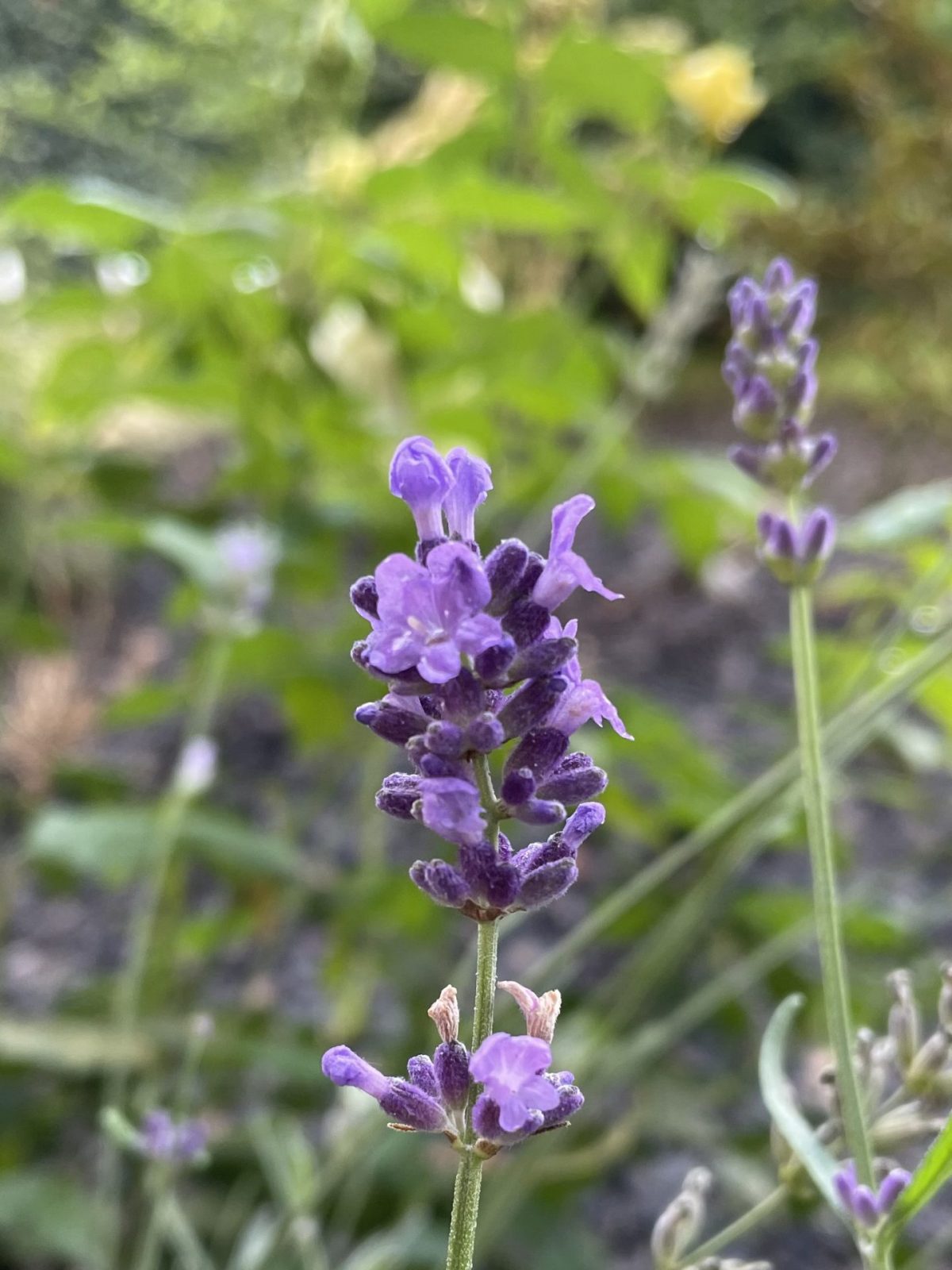 251F3D13-E722-4149-BFBB-21CBCC98683A