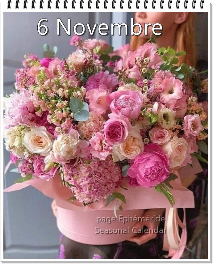 253382272_4762822477101144_4009177495100497573_n