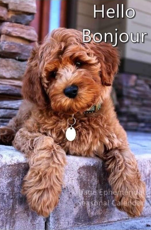 253777282_1343927716061531_510326826279485576_n