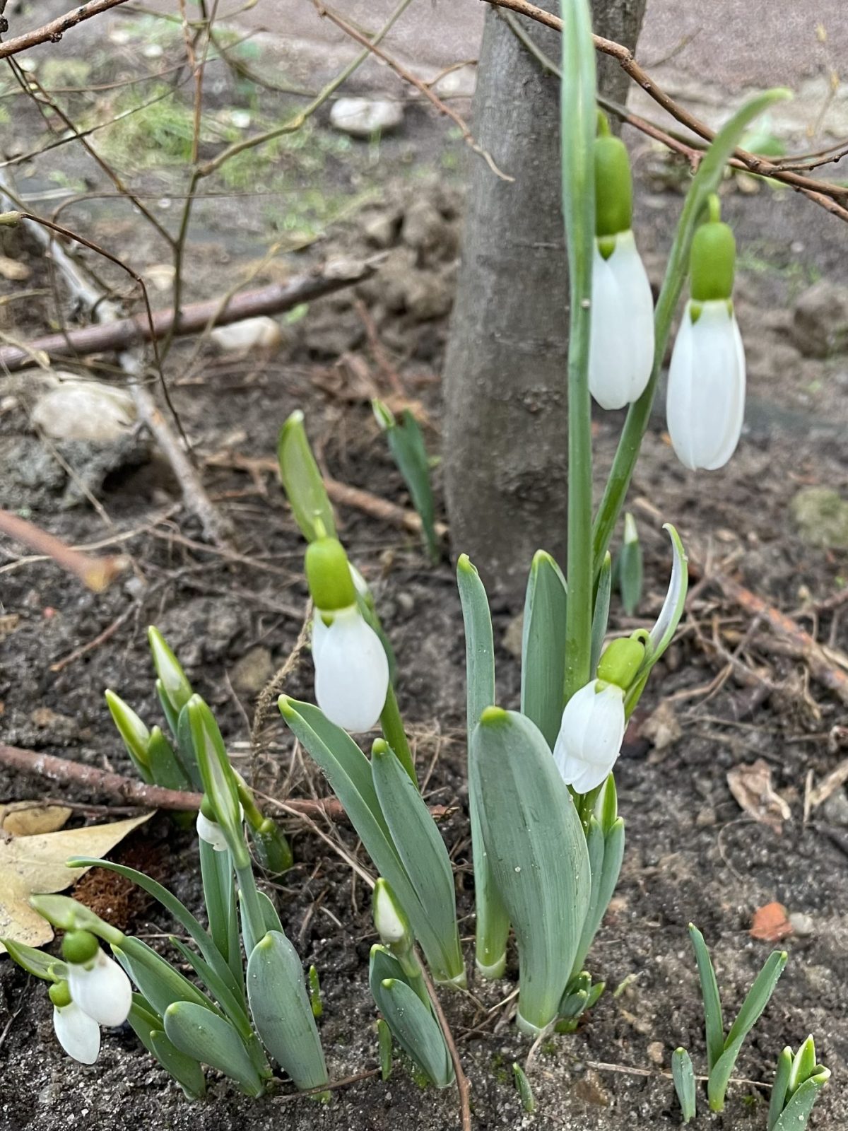 253EFE01-BBF9-45F5-B95A-ABFEA69BC1E4