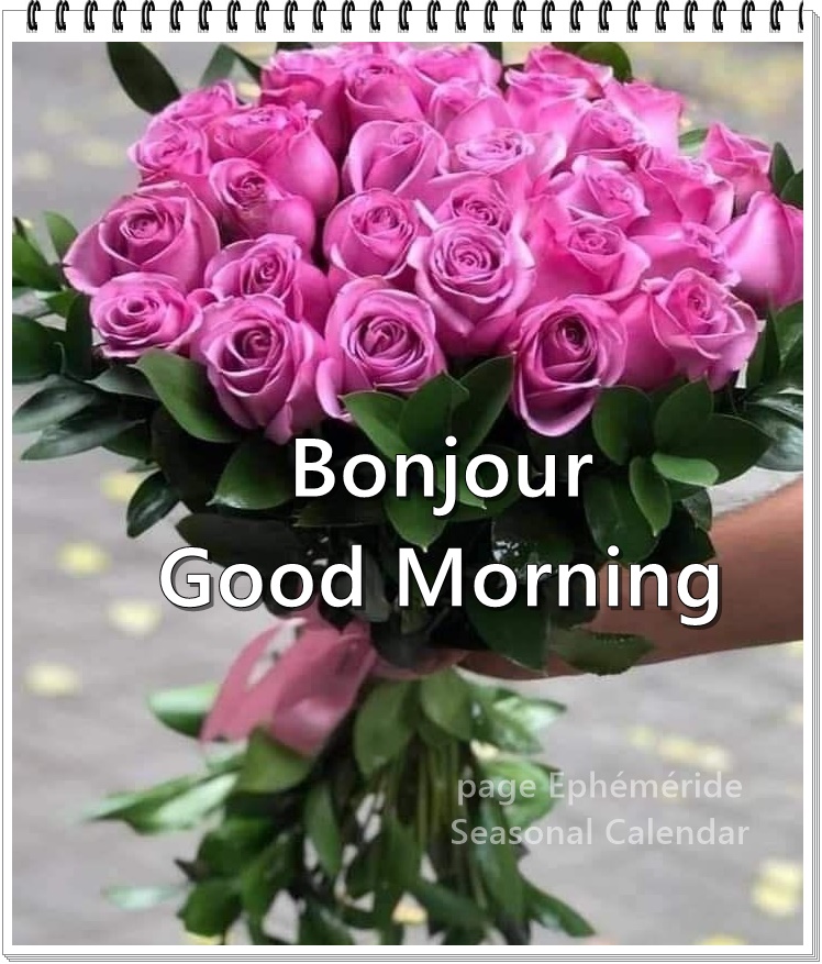 254071424_4766063540110371_4790756855725760821_n