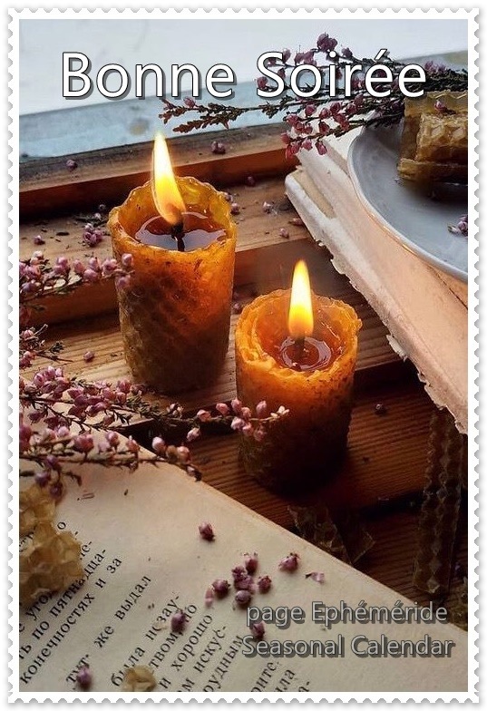 254543792_4767924476590944_1542247241014533182_n