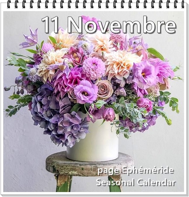 256036354_4778783022171756_8245706727369101591_n