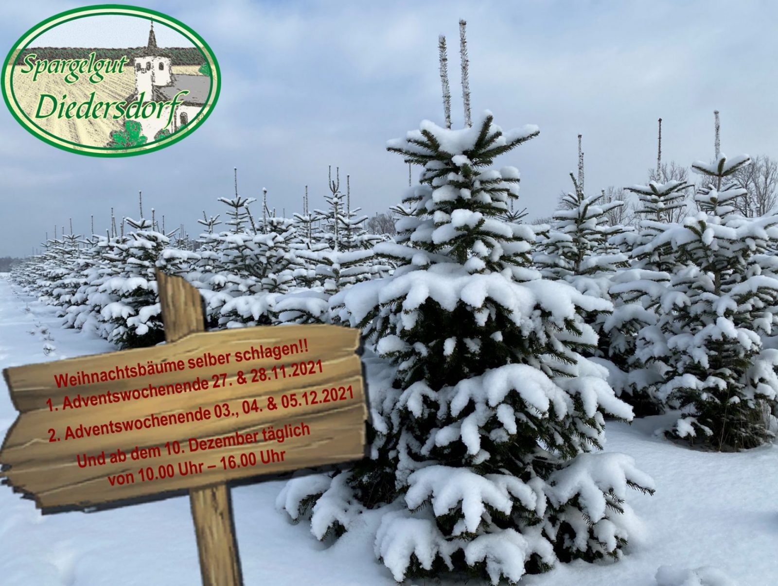 257586125_2321742464623909_2344226082759391218_n (1)