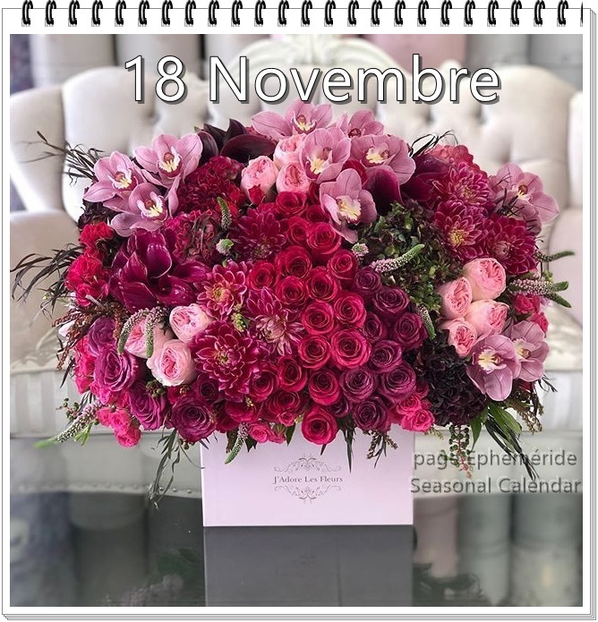 258724385_4801779486538776_4935312522442349593_n