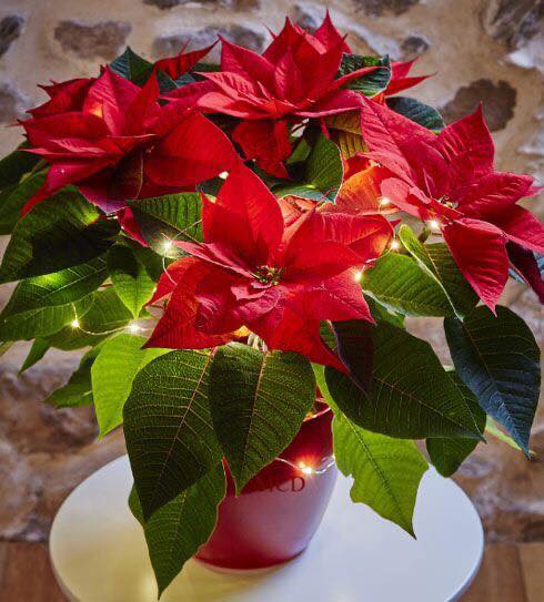 259840449_3066713896899740_2100908902453256112_n (2)