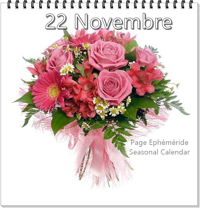 259840650_4815178878532170_716819929022253583_n