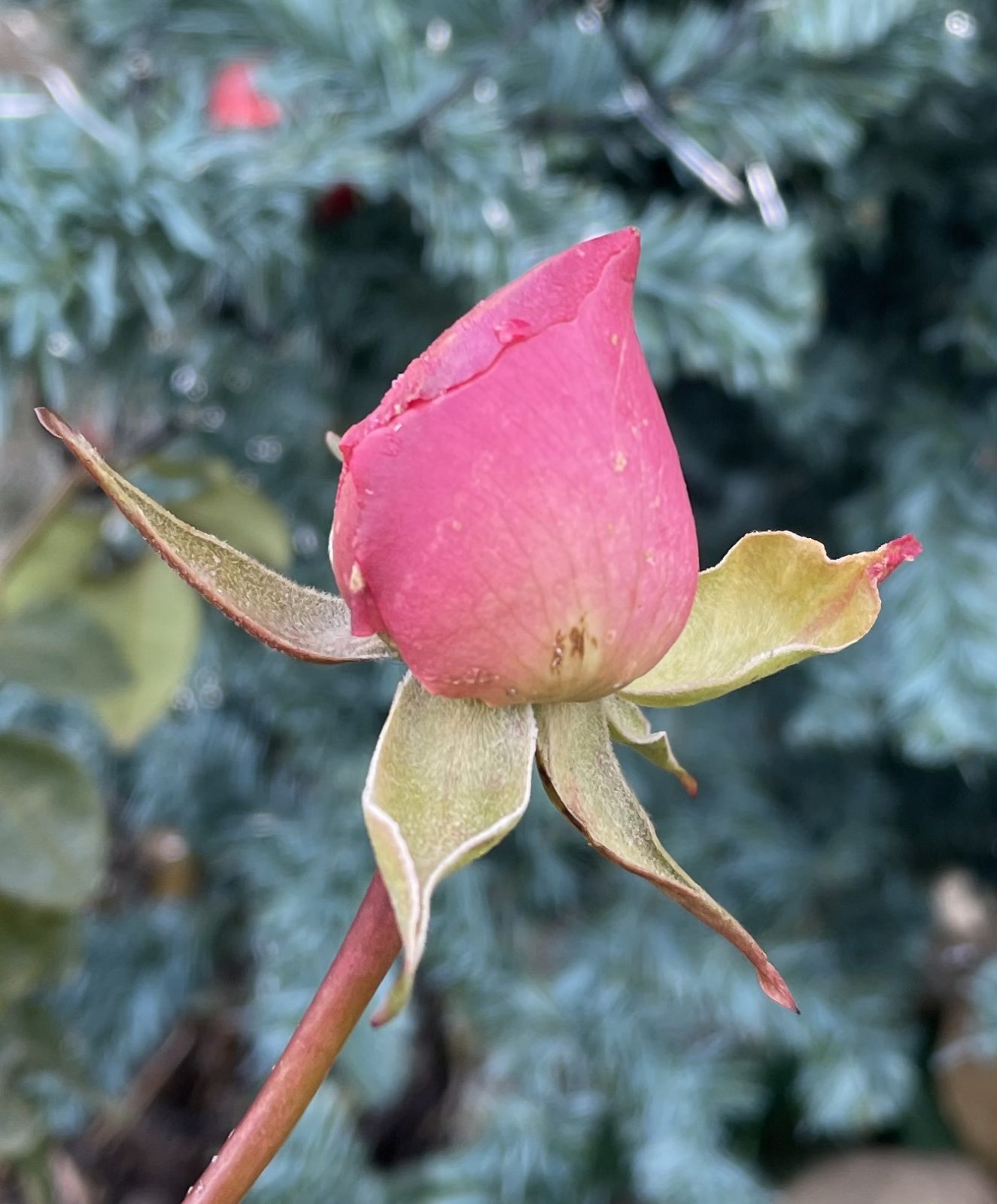 25A7D0B1-89B2-4B10-8E23-1BE4DD54FD66