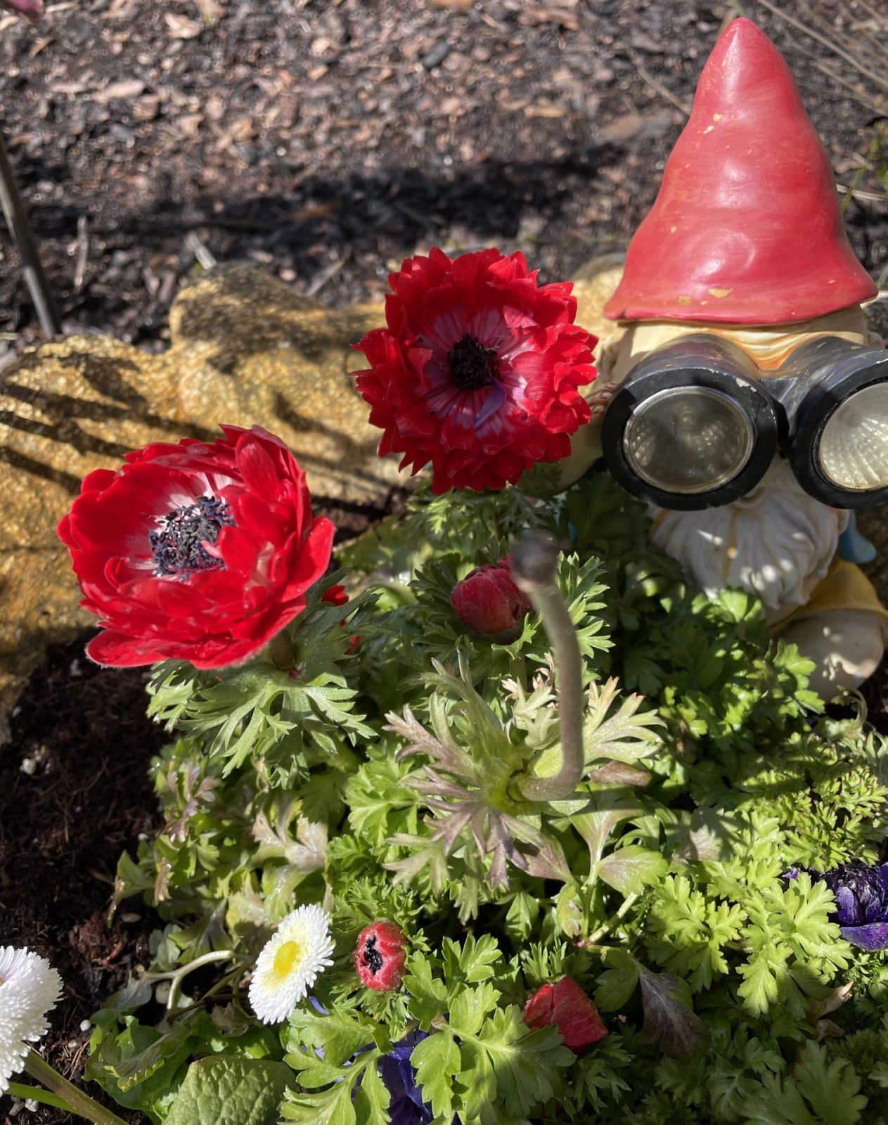 25DB72F1-A4E5-4A06-A8E3-175556F84574