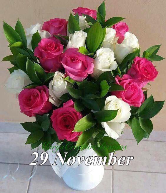 260351308_3062920030612460_5894272284066966371_n (1)