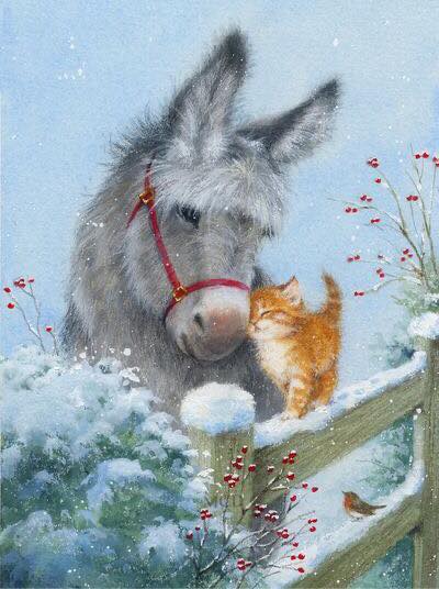 260389912_3066518670252596_1822515712920029287_n