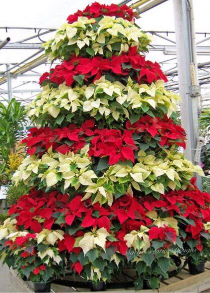 260988420_3063409603896836_6026752513266684889_n