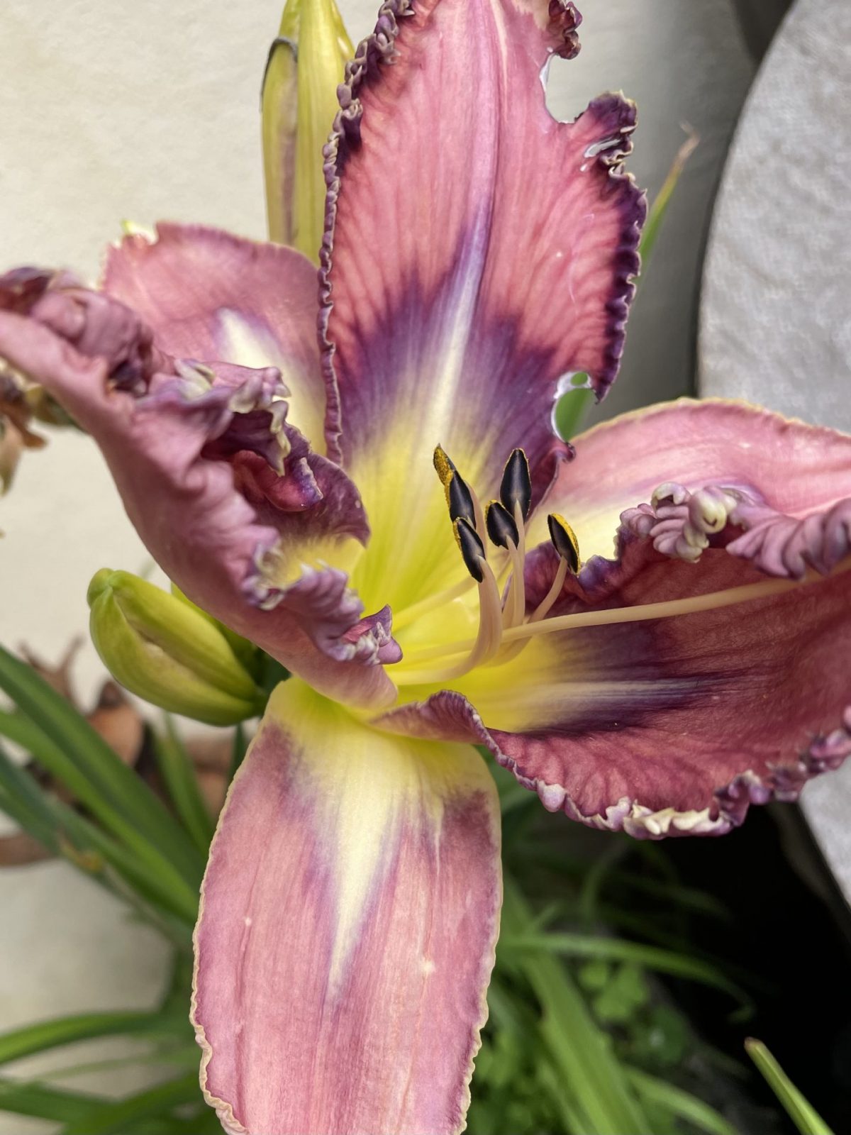 260F02D4-F9CD-468B-B837-90630721B11D